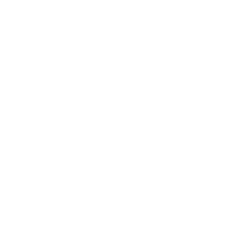 Driver